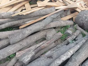 Wooden Log