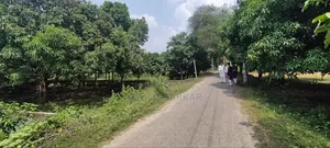 জমি বিক্রয় হবে — কাশিয়াডাঙ্গা, রাজশাহী