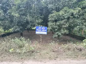 জমি বিক্রয় হবে — কাশিয়াডাঙ্গা, রাজশাহী