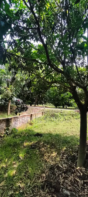 জমি বিক্রয় হবে — কাশিয়াডাঙ্গা, রাজশাহী