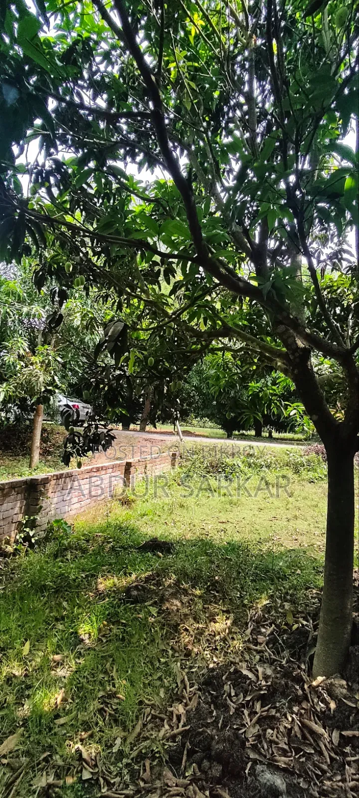 জমি বিক্রয় হবে — কাশিয়াডাঙ্গা, রাজশাহী