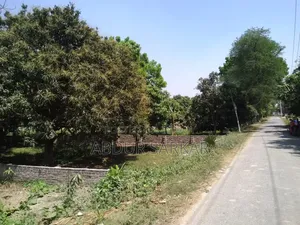 জমি বিক্রয় হবে — কাশিয়াডাঙ্গা, রাজশাহী
