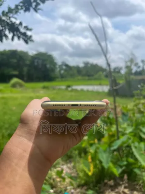 অ্যাপল আইফোন ১১ ১২৮ জিবি ব্রোঞ্জ