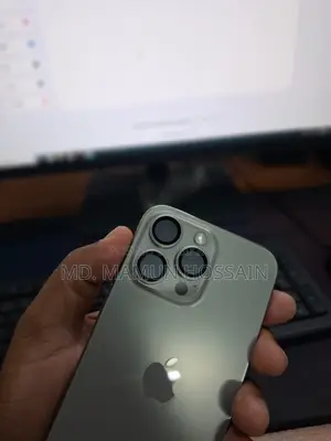 Apple iPhone 15 Pro Max 256 GB Silver