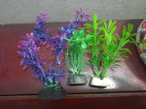 মিনি ফিশ জার