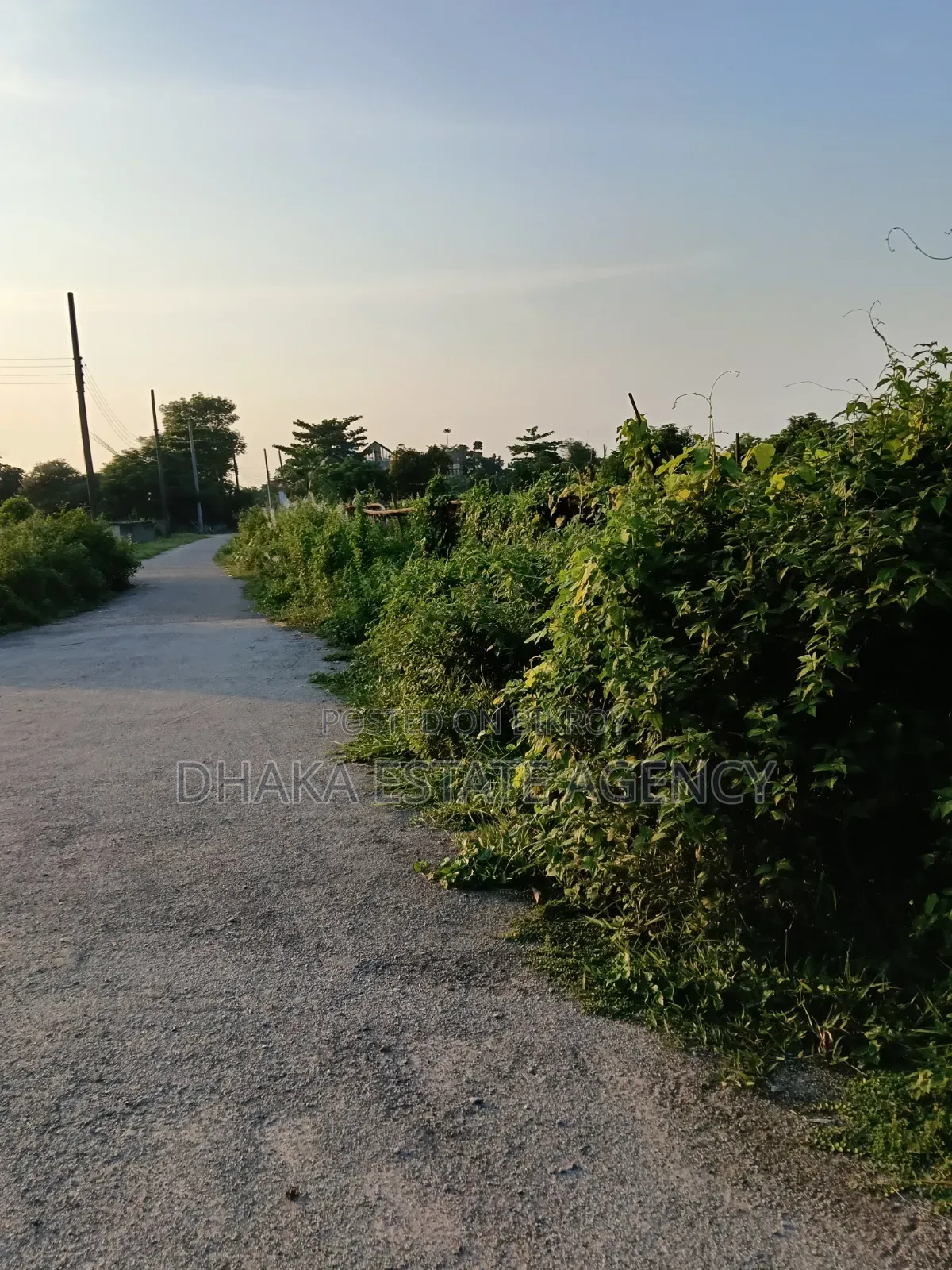 সেক্টর-১৭এ, দক্ষিণমুখী ৩ কাঠা প্লট বিক্রি
