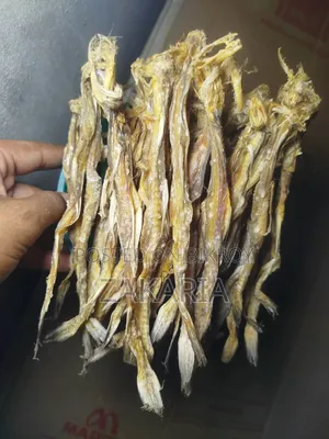 Chepa, Dried Fish (Shutki), Fish