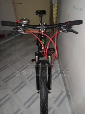 Veloce Seven Thirty One