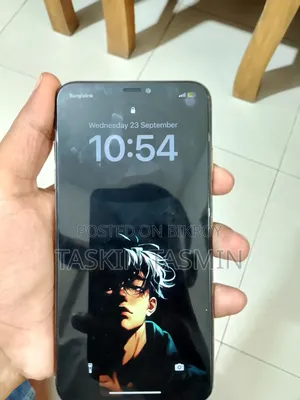 Apple iPhone XS Max 256 GB Silver