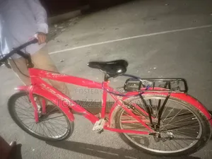 Duronto Knight Bicycle