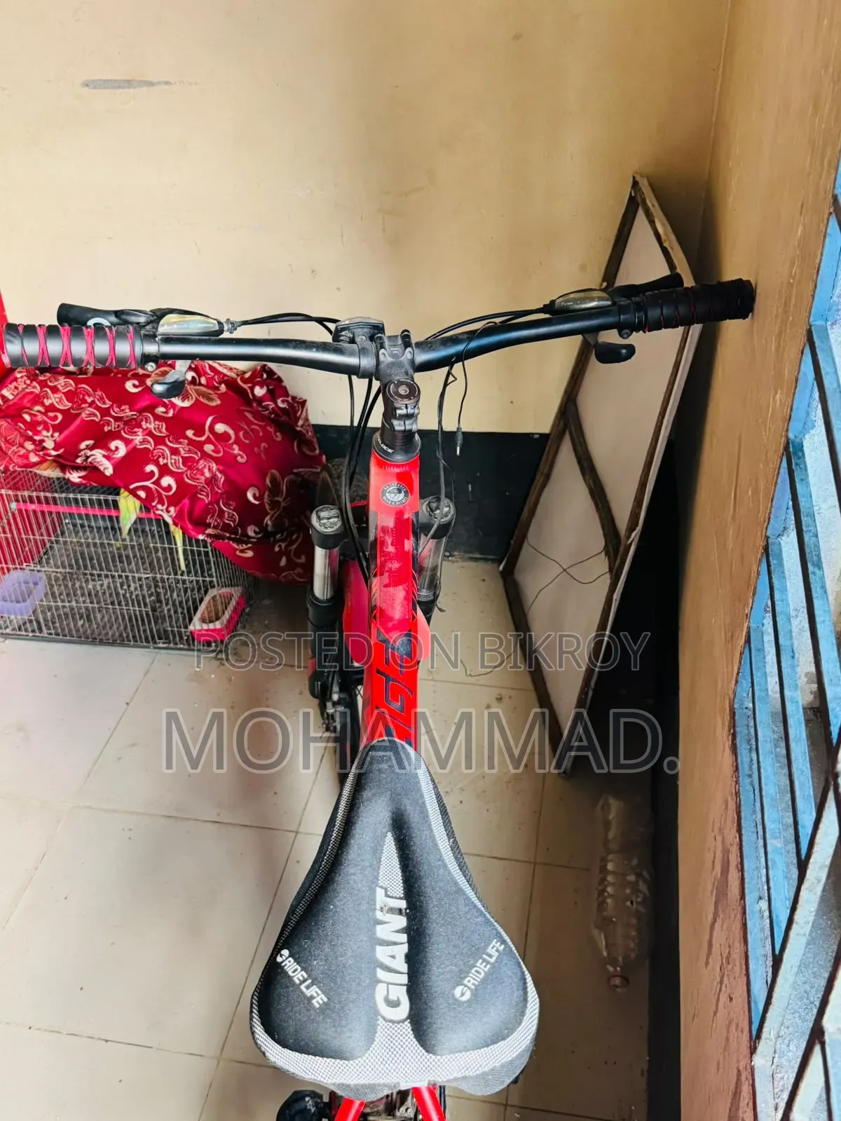 Mountain Bike Bicycle