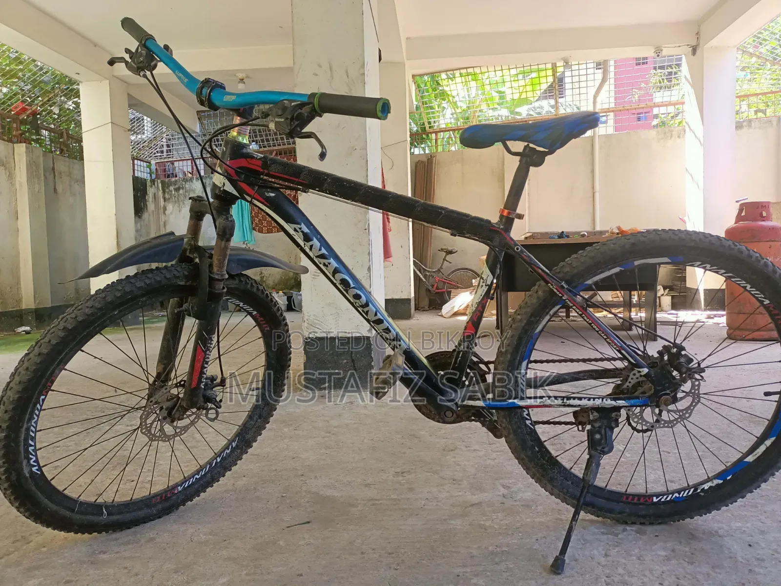 Cycle Anaconda