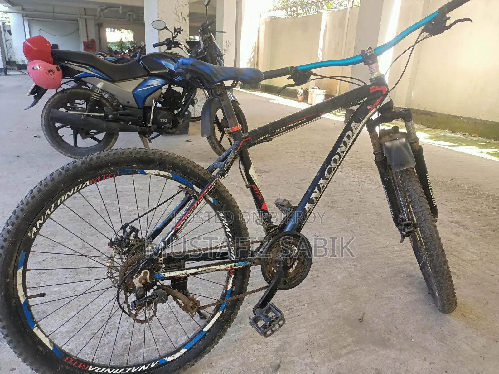 Cycle Anaconda