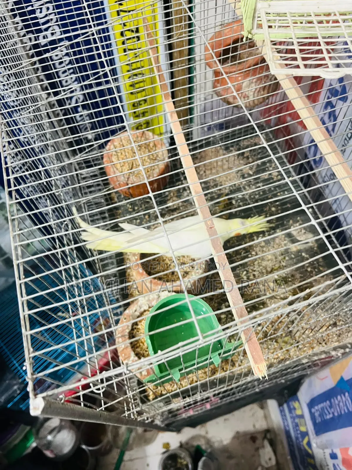 চারতলা খাঁচা বিক্রি