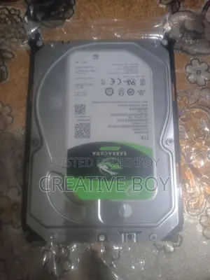 Computer Hard Disk