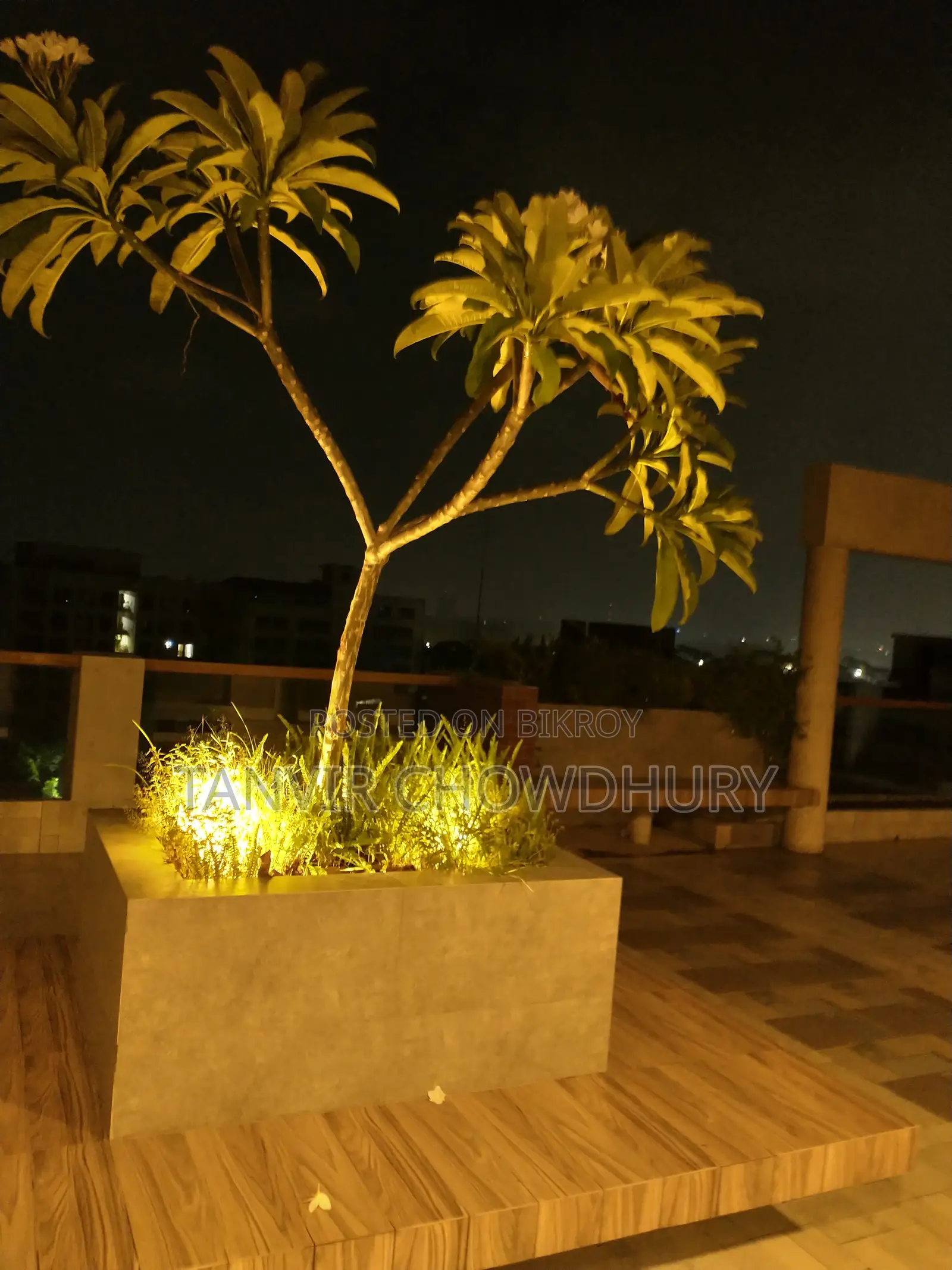 3 Bedroom Apartment in Lalmatia, Dhanmondi for rent