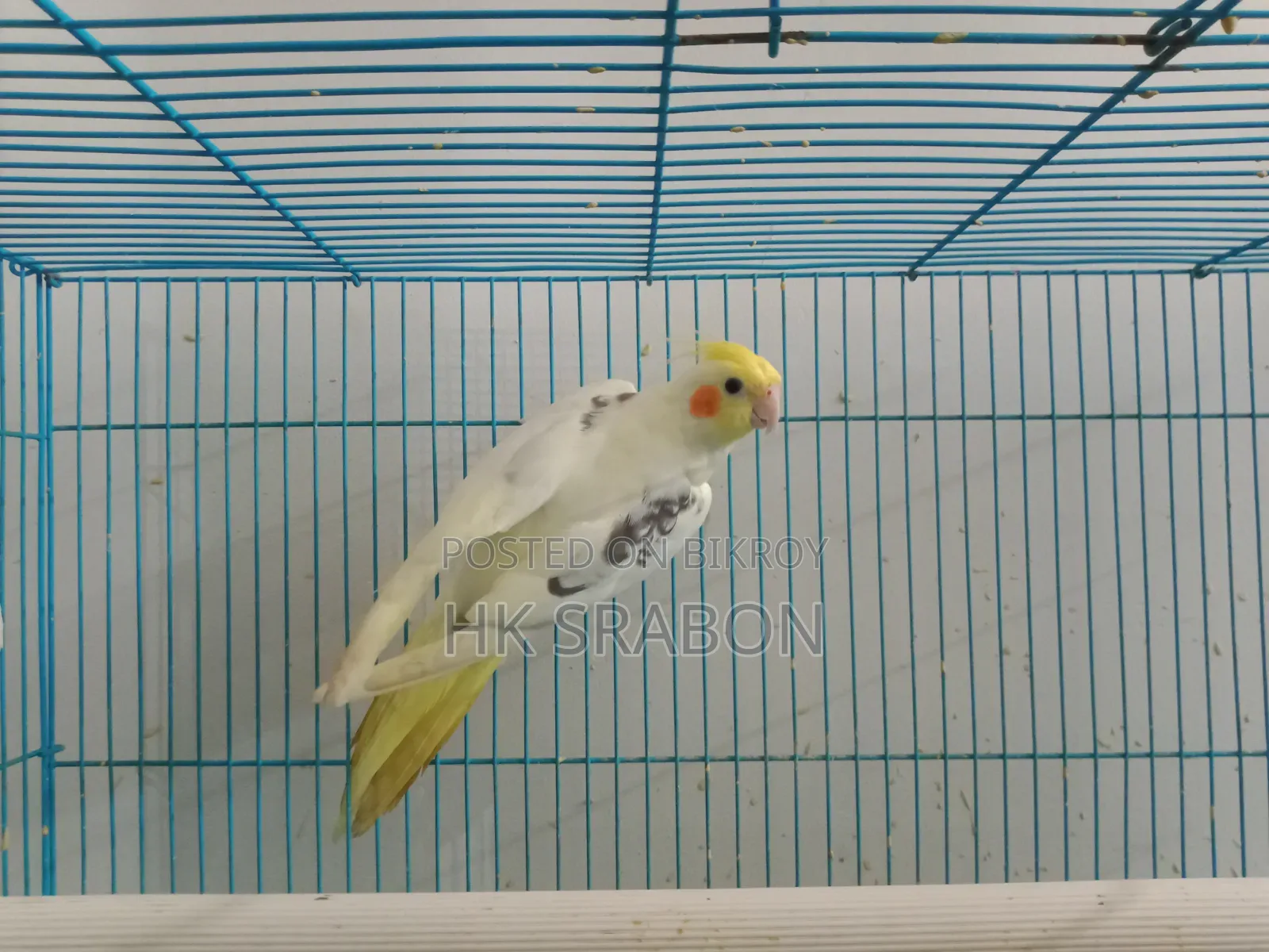 কোকাটেল মেল