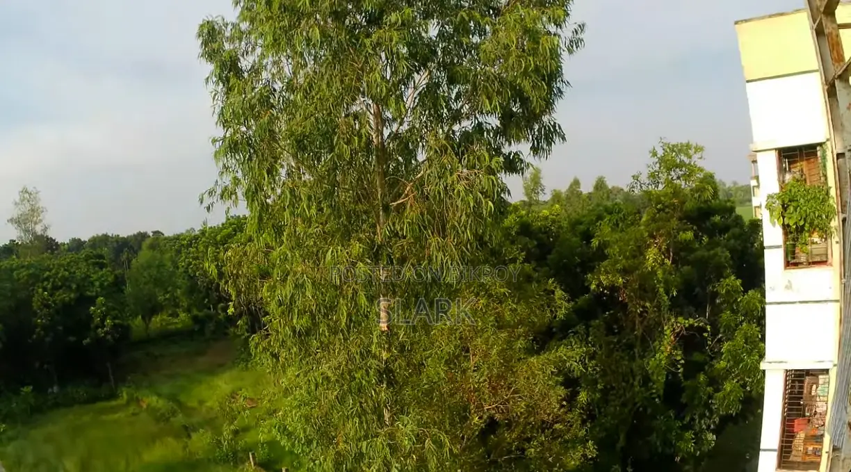 সাথিয়ায় সাজানো ২-বেডরুমের অ্যাপার্টমেন্ট বিক্রয়ের জন্য