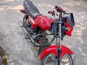 রোডমাস্টার প্রাইম ১০০ ২০১৯ লাল