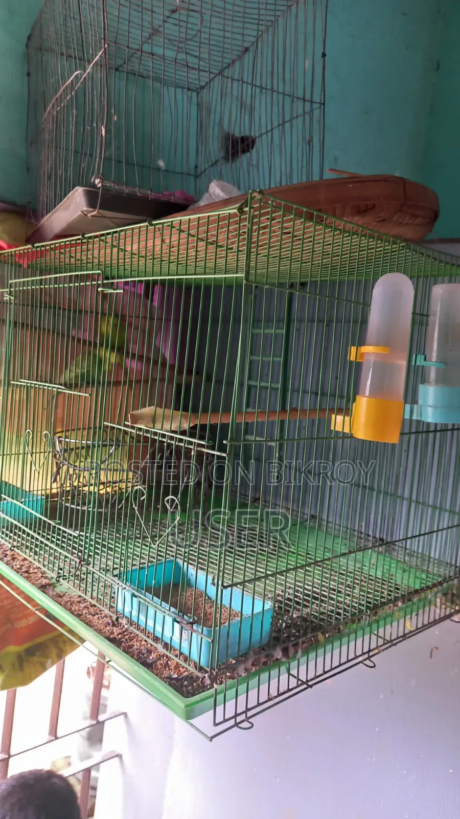 Two birds will be sold