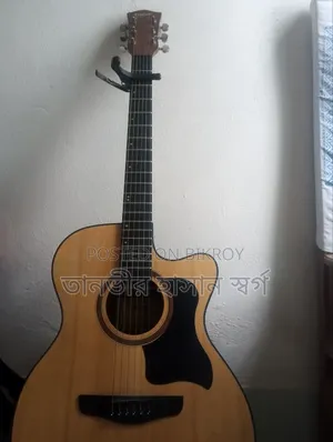 ডিভাইসার অ্যাকৌস্টিক গিটার