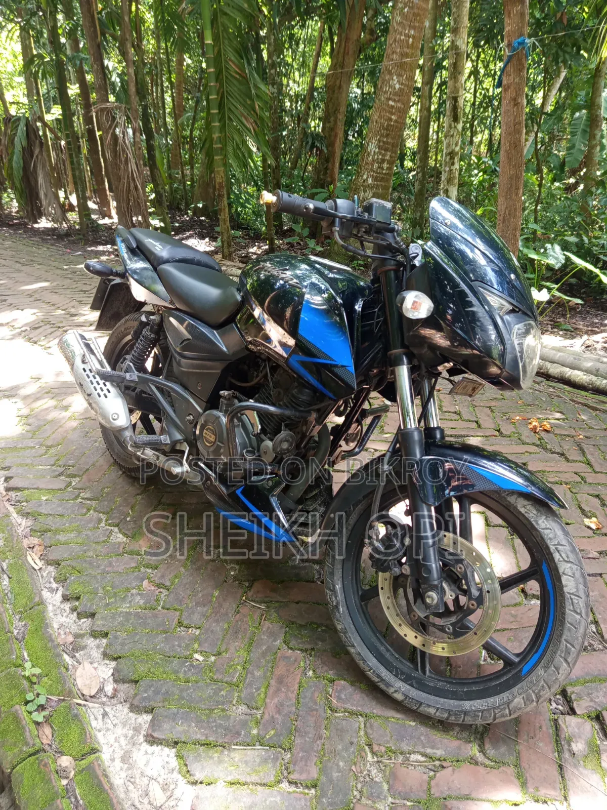 Bajaj Pulsar 150 2019 Black