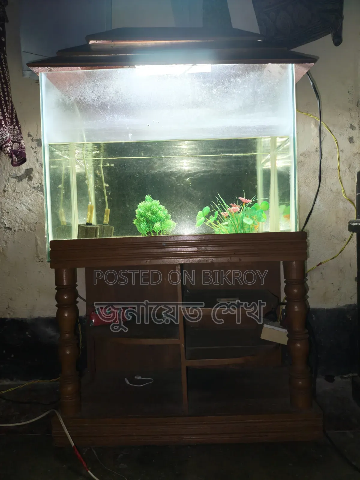 মাছের অ্যাকোয়ারিয়াম