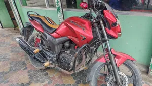 হিরো হাংক ২০১১ রেড