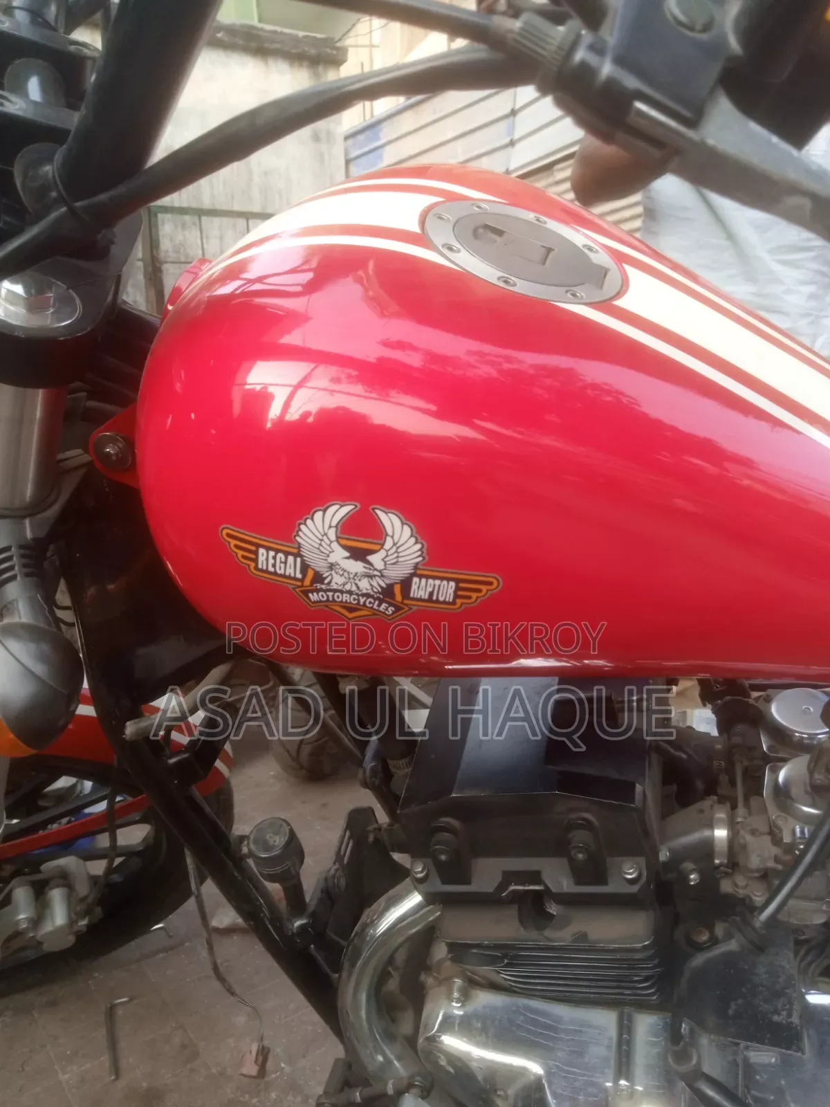 Regal Raptor K5 Long 2015 Red