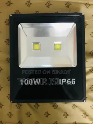 Outdoor LED Light