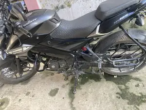 বাজাজ পালসার ১২৫ ২০২৪ গ্রে