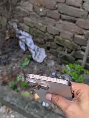 অ্যাপল আইফোন ১৬ প্রো ম্যাক্স ২৫৬ জিবি রোজ গোল্ড