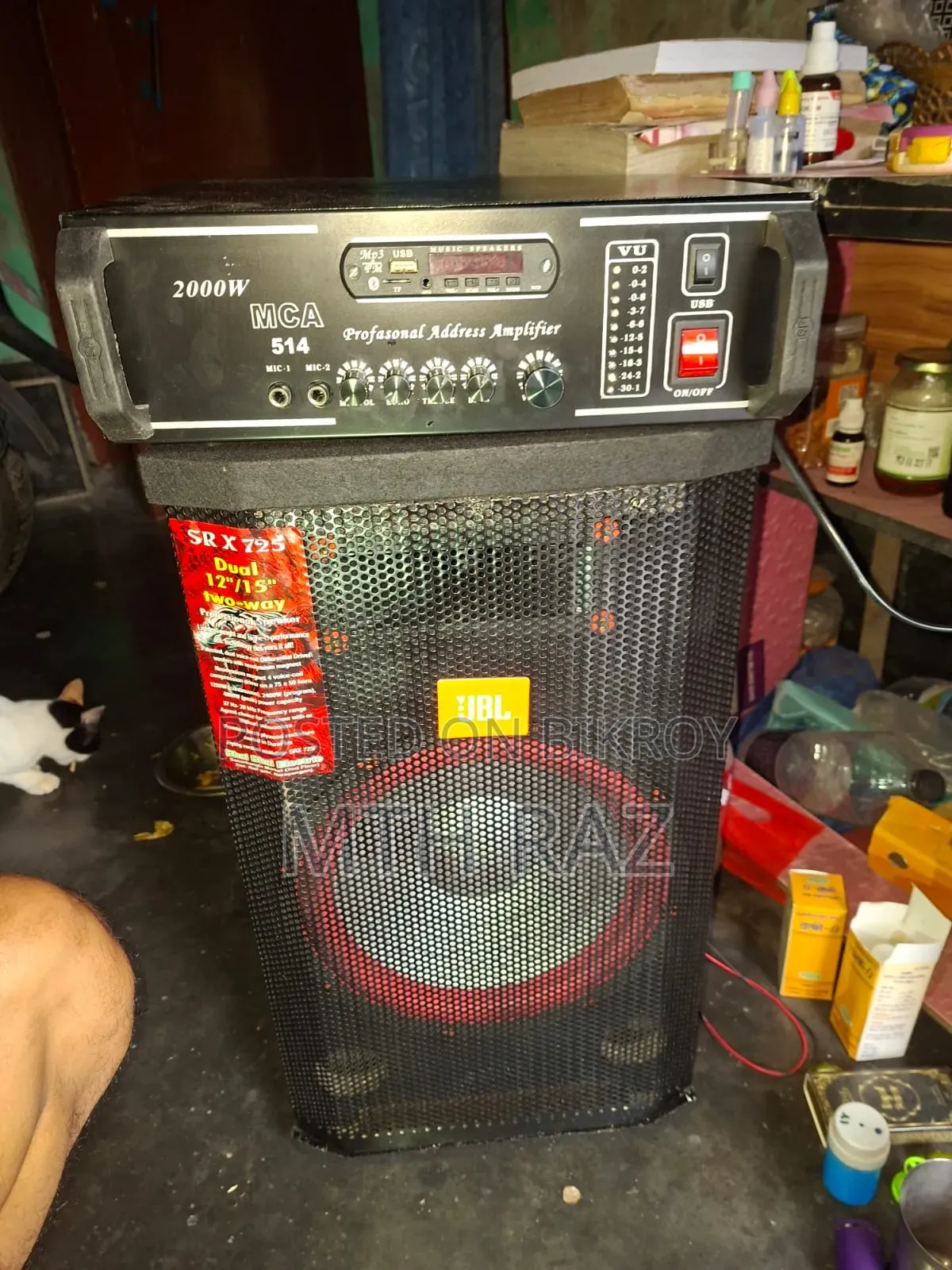 Amplifier with 12-inch speaker box