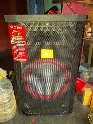 Amplifier with 12-inch speaker box