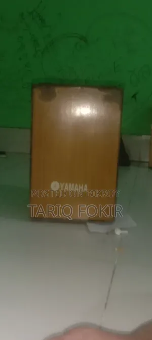 Music Instrument