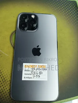 New Apple iPhone 13 Pro Max 256 GB Gray