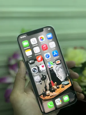 অ্যাপল আইফোন ১২ প্রো ম্যাক্স ১২৮ জিবি সাদা