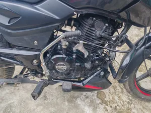 Bajaj Pulsar 150 2024 Red