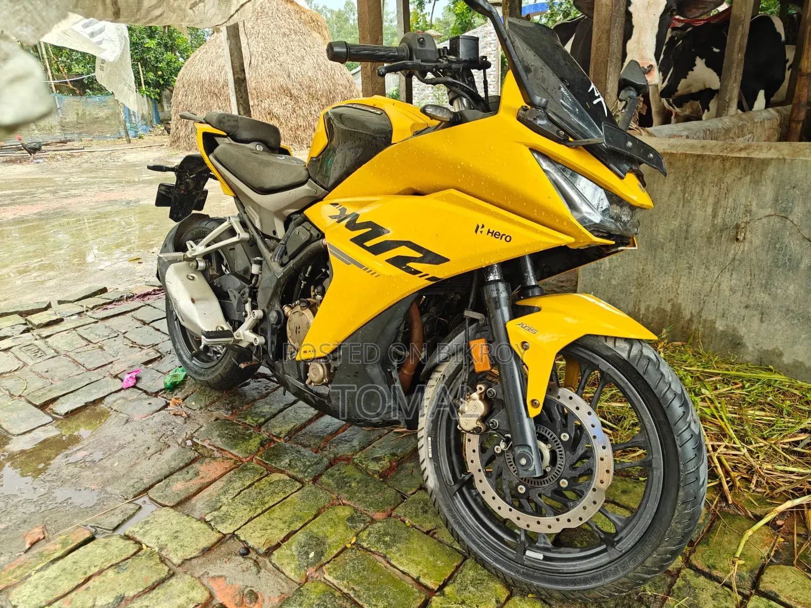Hero Karizma XMR 210 2024 Yellow