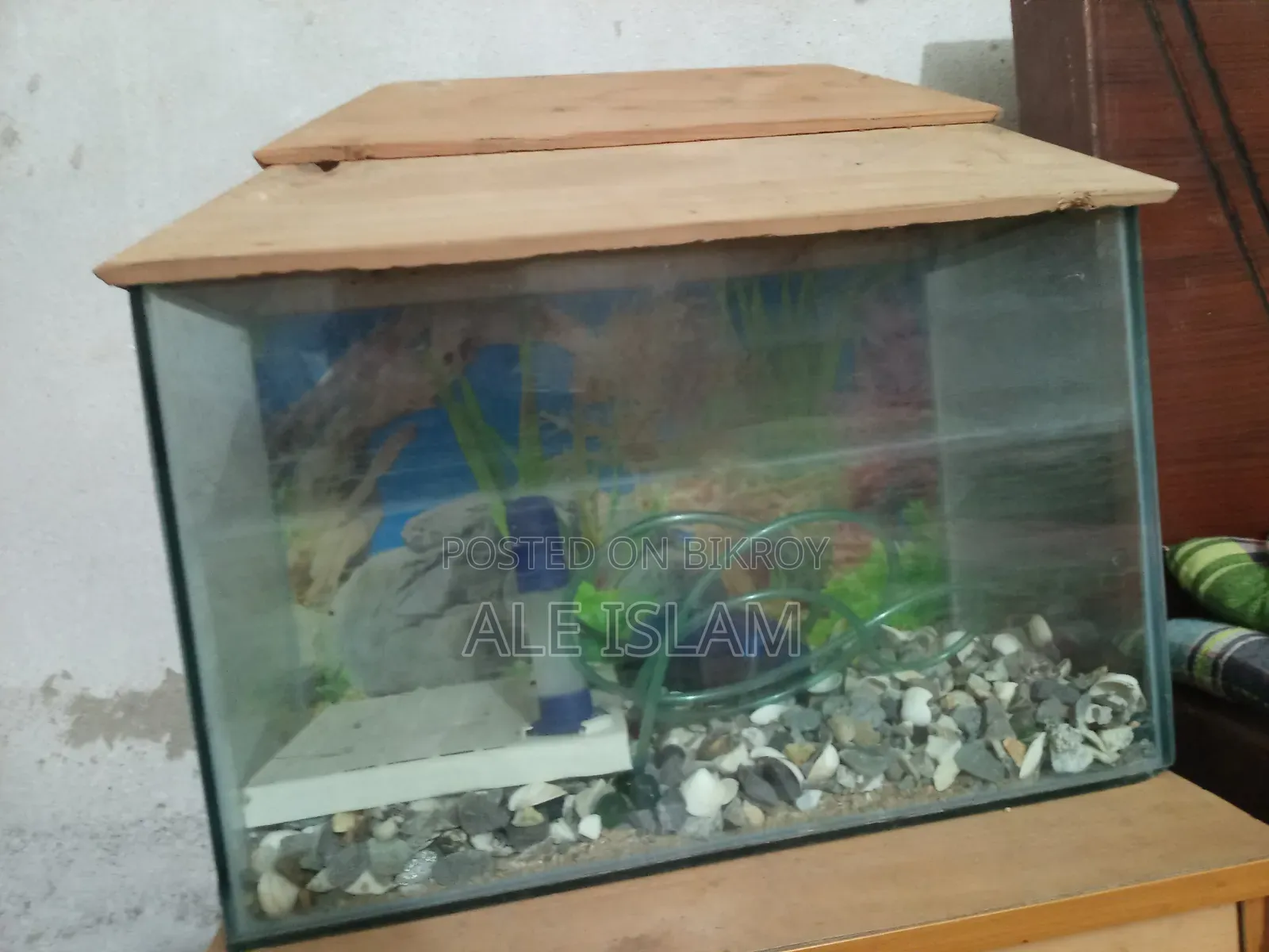 ফ্রেশ কন্ডিশনে অ্যাকুরিয়াম