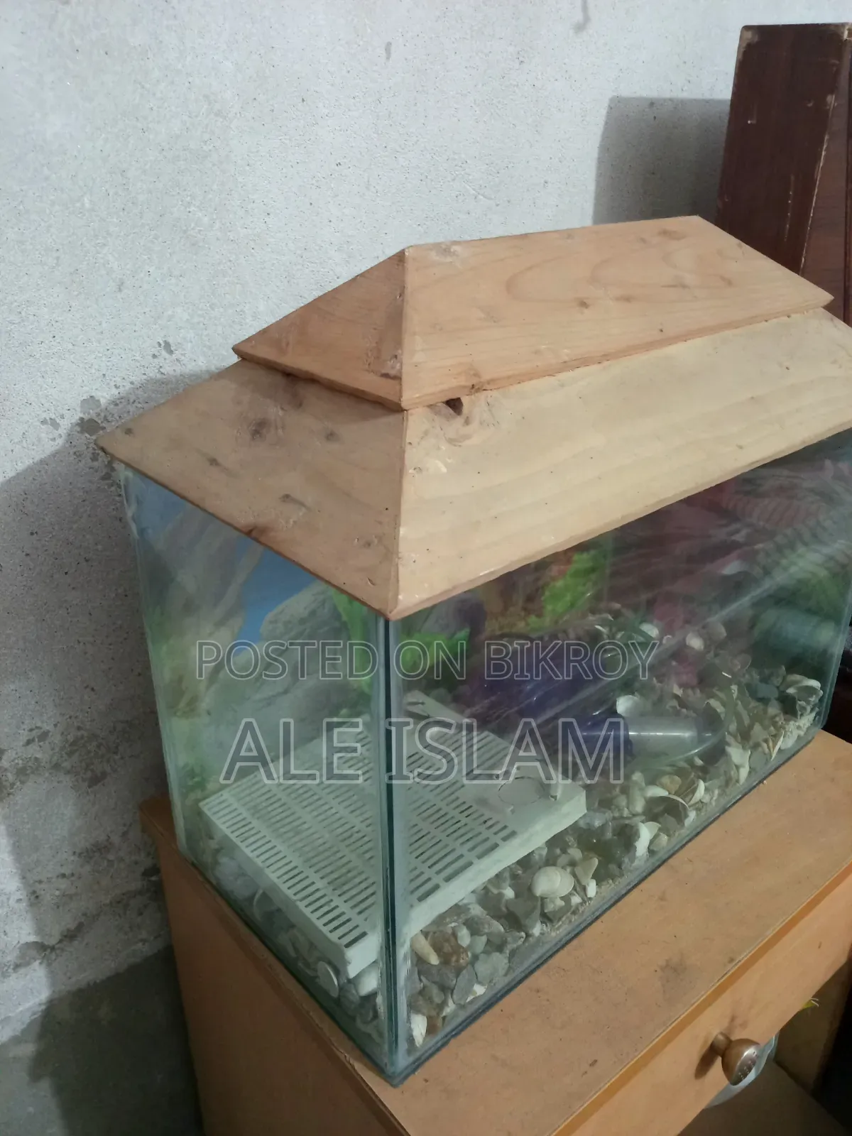 ফ্রেশ কন্ডিশনে অ্যাকুরিয়াম