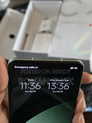 Xiaomi Civi 4 Pro 256 GB Gray