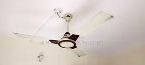 ফ্যান - ফ্রেশ কন্ডিশন