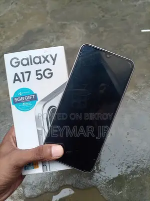 Samsung Galaxy A17 5G 256 GB Silver