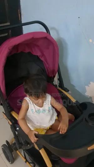 পোর্টেবল বেবি স্ট্রোলার
