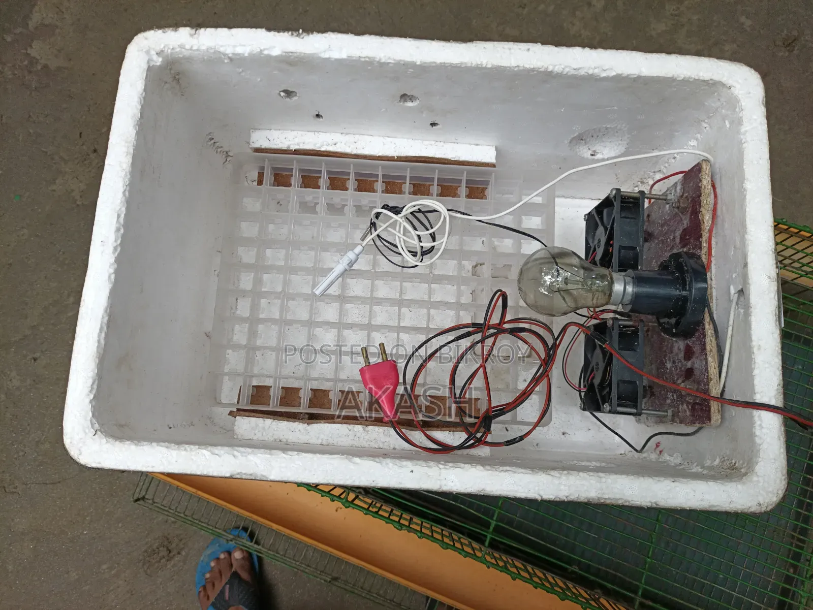 Quail Bird Cage