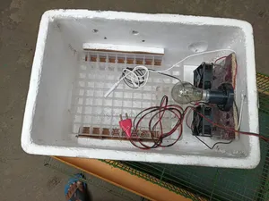 Quail Bird Cage