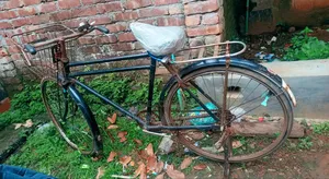 ব্যক্তিগত চলাচলের জন্য বাইসাইকেল