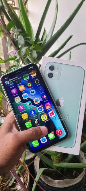 অ্যাপল আইফোন ১১ ১২৮ জিবি নীল