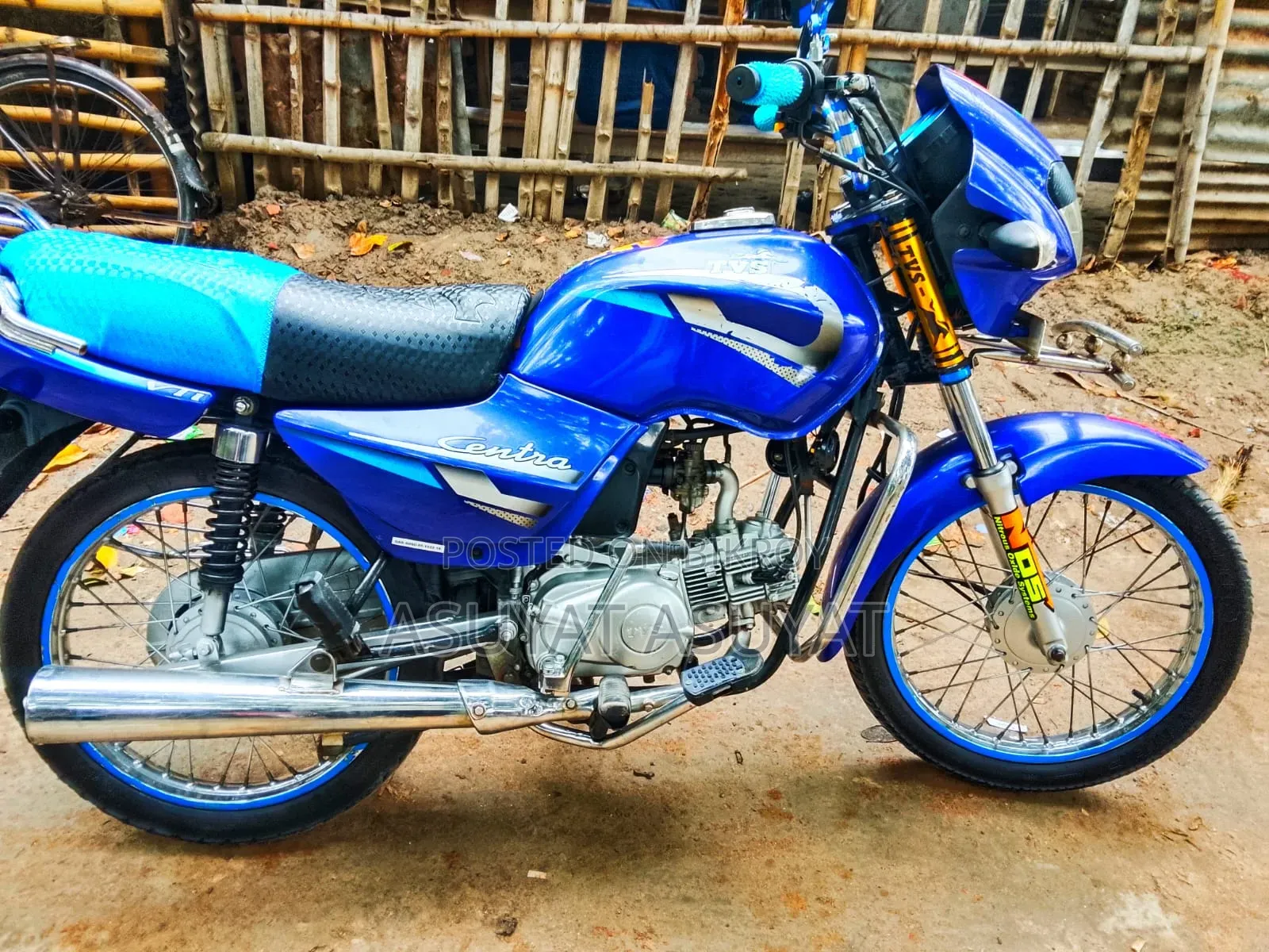 TVS 2005 Blue